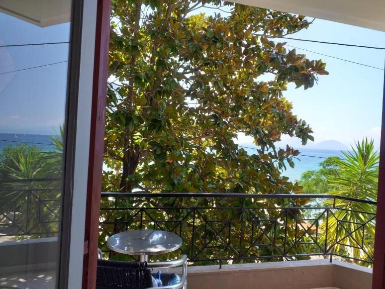 فاسيليكي Altina Sea View Apartments المظهر الخارجي الصورة